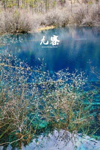 屏山君 | 更多“金点子”“金果子”持续派送中……